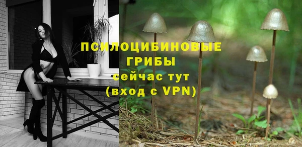 a pvp Арсеньев