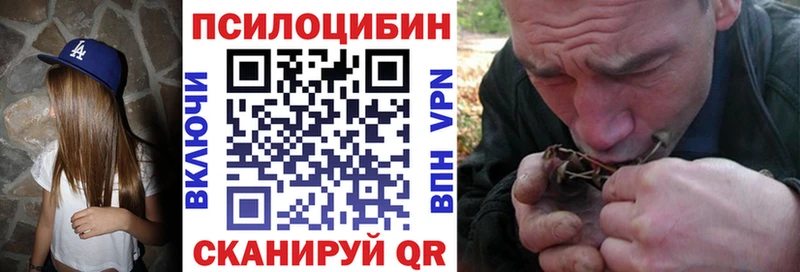сайты даркнета телеграм  Аркадак  Псилоцибиновые грибы Psilocybe 